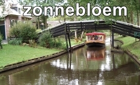 zonnebloem arrangementen Giethoorn